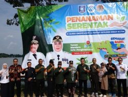 700 Bibit Pohon Ditanam Di Sepanjang Aliran Sungai Rangkui, Pemkot Pangkalpinang Dukung Program Semarak Babel 2024